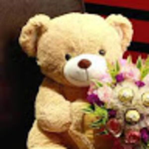 Meet your Posher, Karanvir singh